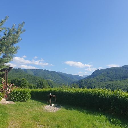 Hotel Valea Doamnei Nucşoara Zewnętrze zdjęcie