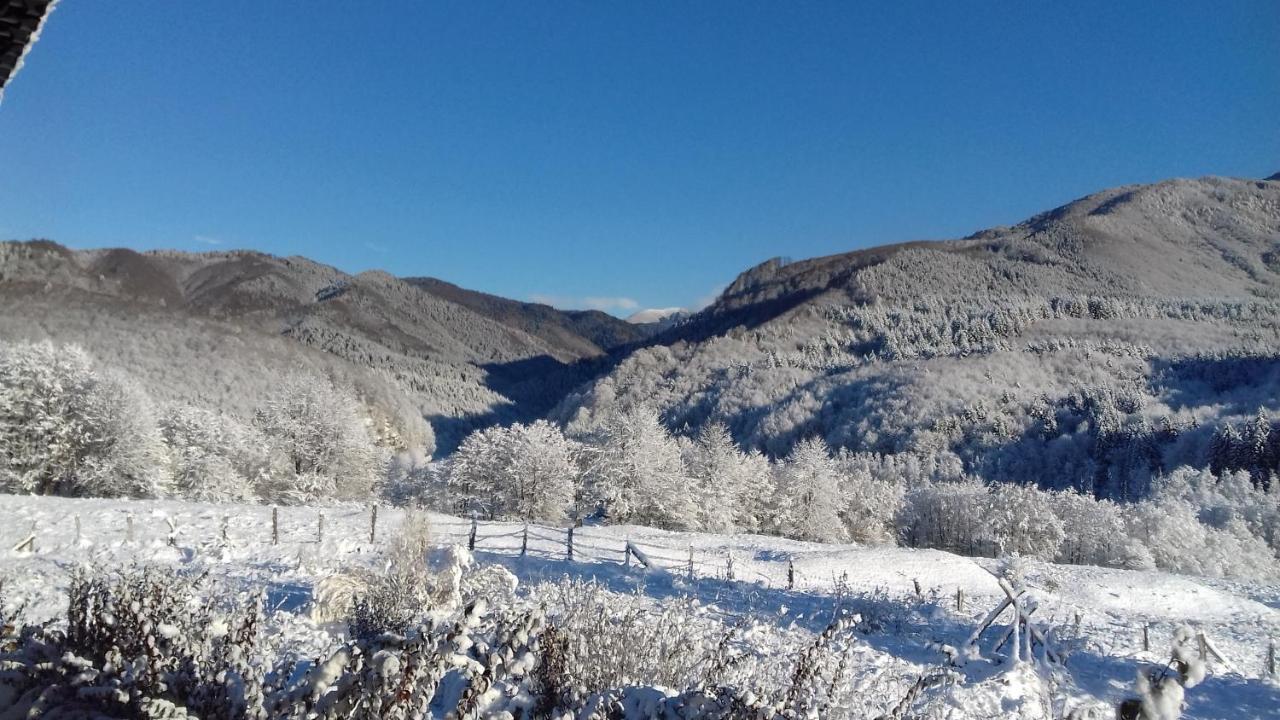 Hotel Valea Doamnei Nucşoara Zewnętrze zdjęcie
